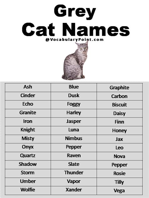 500+ Most Popular Cat Names in English - Vocabulary Point