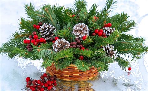 Dammann's Garden Company – DECORATIONS YOU CAN MAKE WITH EVERGREENS