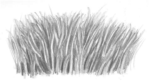 How to Draw Realistic Grass That's Ready to Be Seen - Let's Draw Today