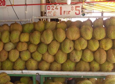 Durian - the infamous D24 | No discussion of Singaporean's l… | Flickr