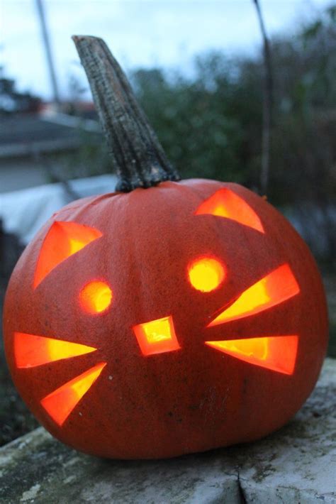 cat pumpkin #halloweenpumpkin Holiday and Event DIY Project Ideas and ...