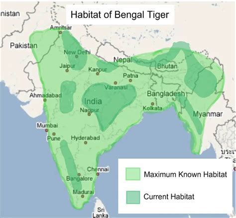 Bengal Tiger Habitat Map