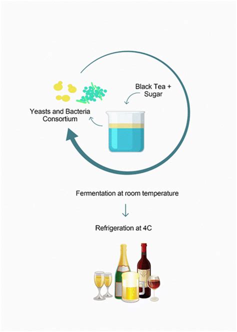 General scheme of the production of traditional fermented foods by ...