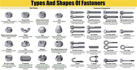 Types And Shapes Of Fasteners, Nuts, Screw Head, And washers ...