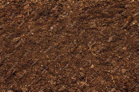 Premium Photo | Soil texture background for gardening concept ...