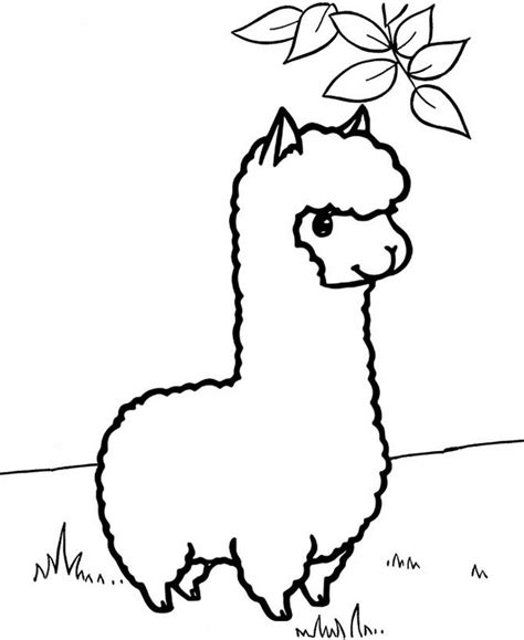 Top 9 Cutest Alpaca Coloring Pages for Kids - Coloring Pages