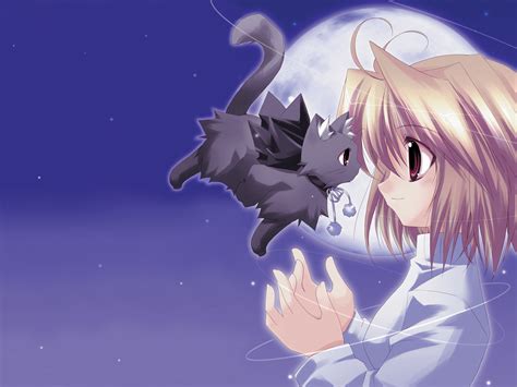 🔥 [40+] Cute Anime Cat Wallpapers | WallpaperSafari