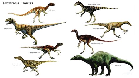 Carnivorous Dinosaurs - Carnivore Dinosaurs