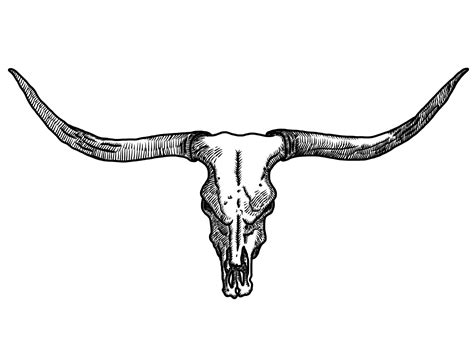 Texas Longhorns Png - Longhorn Bull Skull Tattoo - 2048x1536 Wallpaper ...