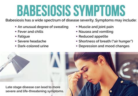 Symptom of Babesiosis - MEDizzy