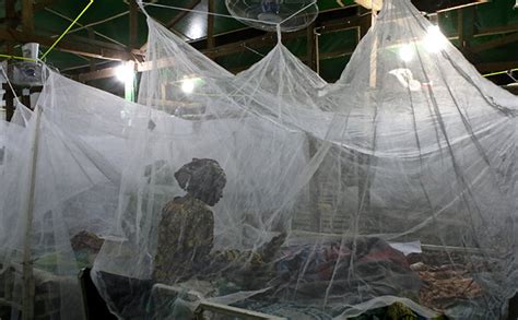 Mosquito Nets - The Warehouse | Doctors Without Borders