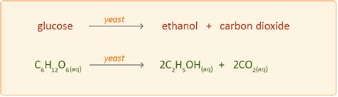 Fermentation of Glucose Equation - DarwinanceGallagher