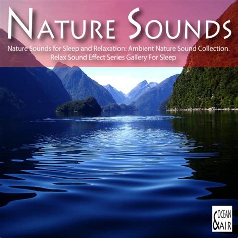 Nature Sounds for Sleep and Relaxation: Ambient Nature Sound Collection ...