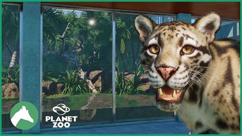 Clouded Leopard Indoor Habitat | Elm Hill City Zoo | Planet Zoo - YouTube