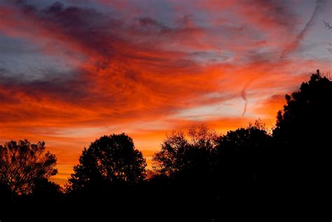 wallpaper dusk, trees, dark, clouds, sunset HD : Widescreen : High ...