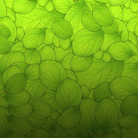 Green Background With Texture