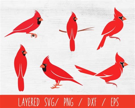 Cardinal Bird Svg Bundle Red Cardinal Bird Svg Memorial Svg - Etsy