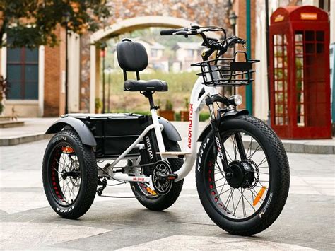 M-340 Electric Fat Trike【Offer Is Valid Until February 5】 | Electric ...