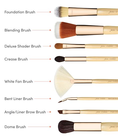 8 Makeup Brushes You Actually Need | Jane Iredale Australia