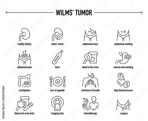 Wilms' Tumor symptoms, diagnostic and treatment vector icon set. Line ...