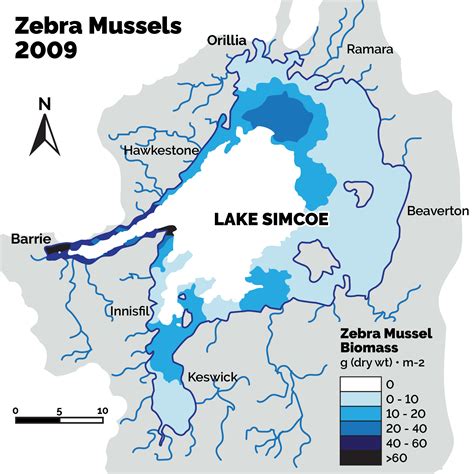 Minister’s 10-Year Report on Lake Simcoe | ontario.ca