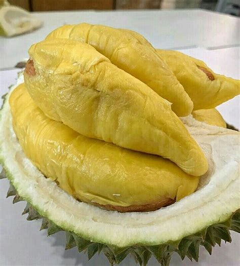 Durian monthong Hot Dog Buns, Hot Dogs, Durian Tree, Weird Fruit ...