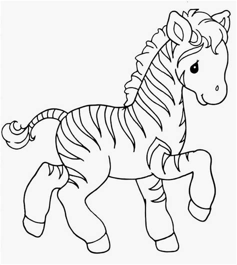 Baby Zebra Coloring Pages 1080p