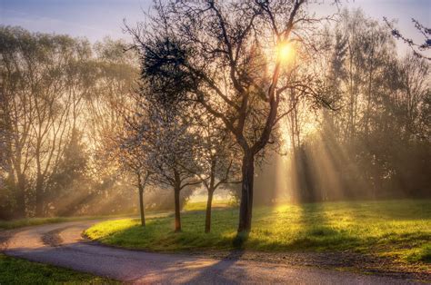 Spring Morning Wallpapers - Top Free Spring Morning Backgrounds ...