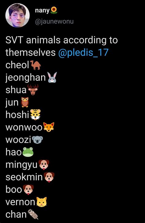 svt animals | Pledis seventeen, Seventeen kpop, Seventeen