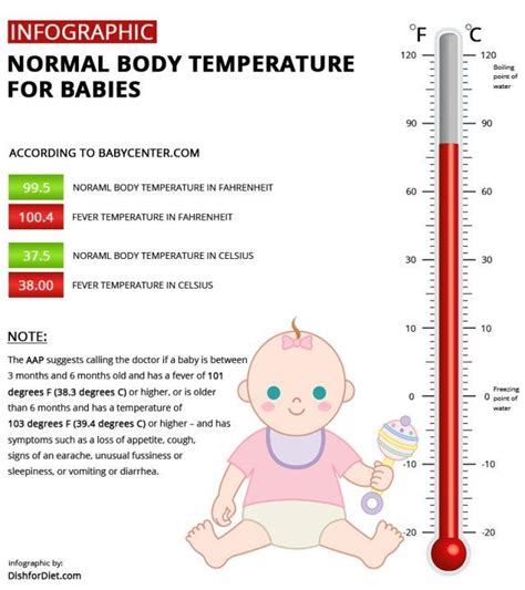 Does Nutrition Lower Body Temperature