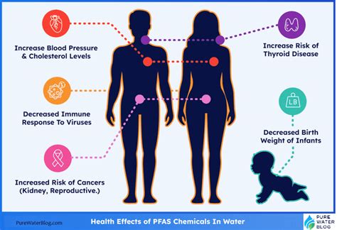 Avoiding PFAS: What products contain PFAS? - Water Treatment