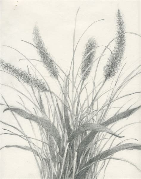 Grass With Pencil Drawing at GetDrawings | Free download