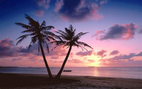 Beach Sunset Landscape, Beautiful Red Rays Of Sunset Image, #21572