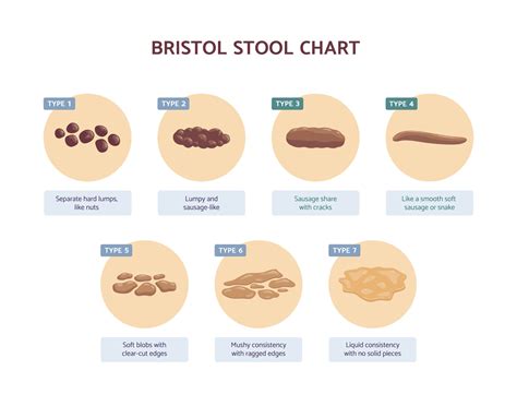 How Well Do You Know Your Poop Chart - Cashin Fouthe