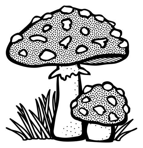 toadstool - lineart - Openclipart