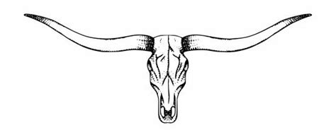 Longhorn Skull Tattoo PNG Transparent SVG Vector | OnlyGFX.com