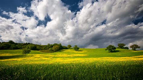 Beautiful Green Grass Field Under Blue And White Cloudy Sky During ...