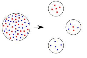 Founder Effect Example