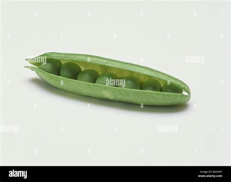 Green peas in a pod Stock Photo - Alamy