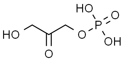 Dihydroxyacetone phosphate - Synchem