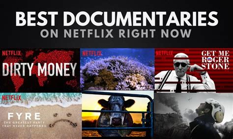 25 best documentaries to watch on Netflix - Badoxil.com