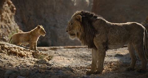 Simba and Scar - The Lion King 2019 foto (43943886) - fanpop