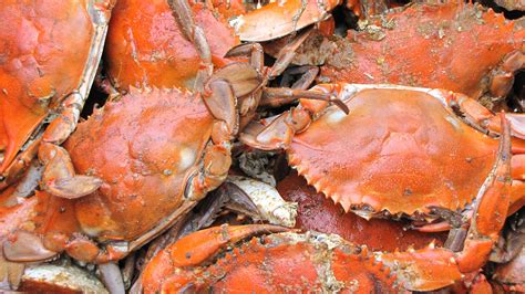 Rock Crab - North Nova Seafoods Ltd.