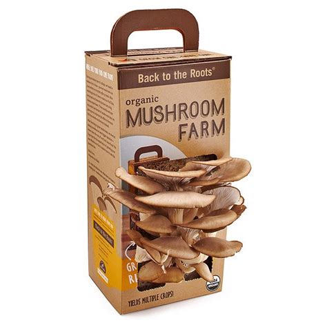 Mushroom Kit | Oyster Mushroom Garden Grow Box | UncommonGoods