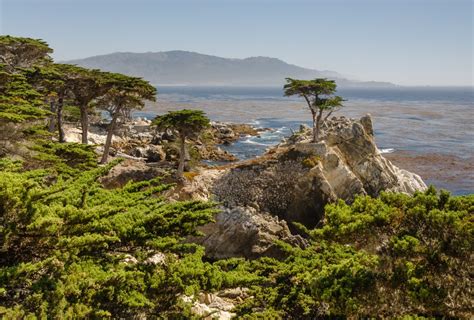 17 Mile Drive, Pebble Beach - CaliforniaBeaches.com