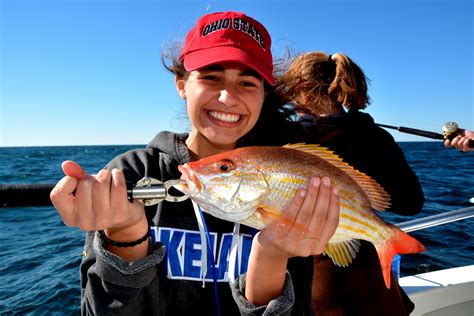 lane-snapper-fishing-orange-beach-alabama - Distraction Charters