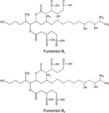 Chemical structure of fumonisins B1 and B2. | Download Scientific Diagram