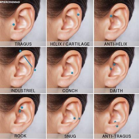 Ear Piercing Types Men