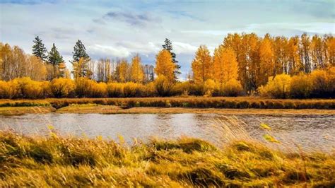 Fall Foliage at Bend (1) Oregon 4K UHD | Fall foliage, Natural ...