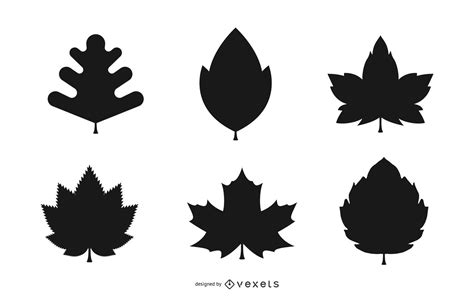 Autumn Leaves Silhouette Set In Black Vector Download